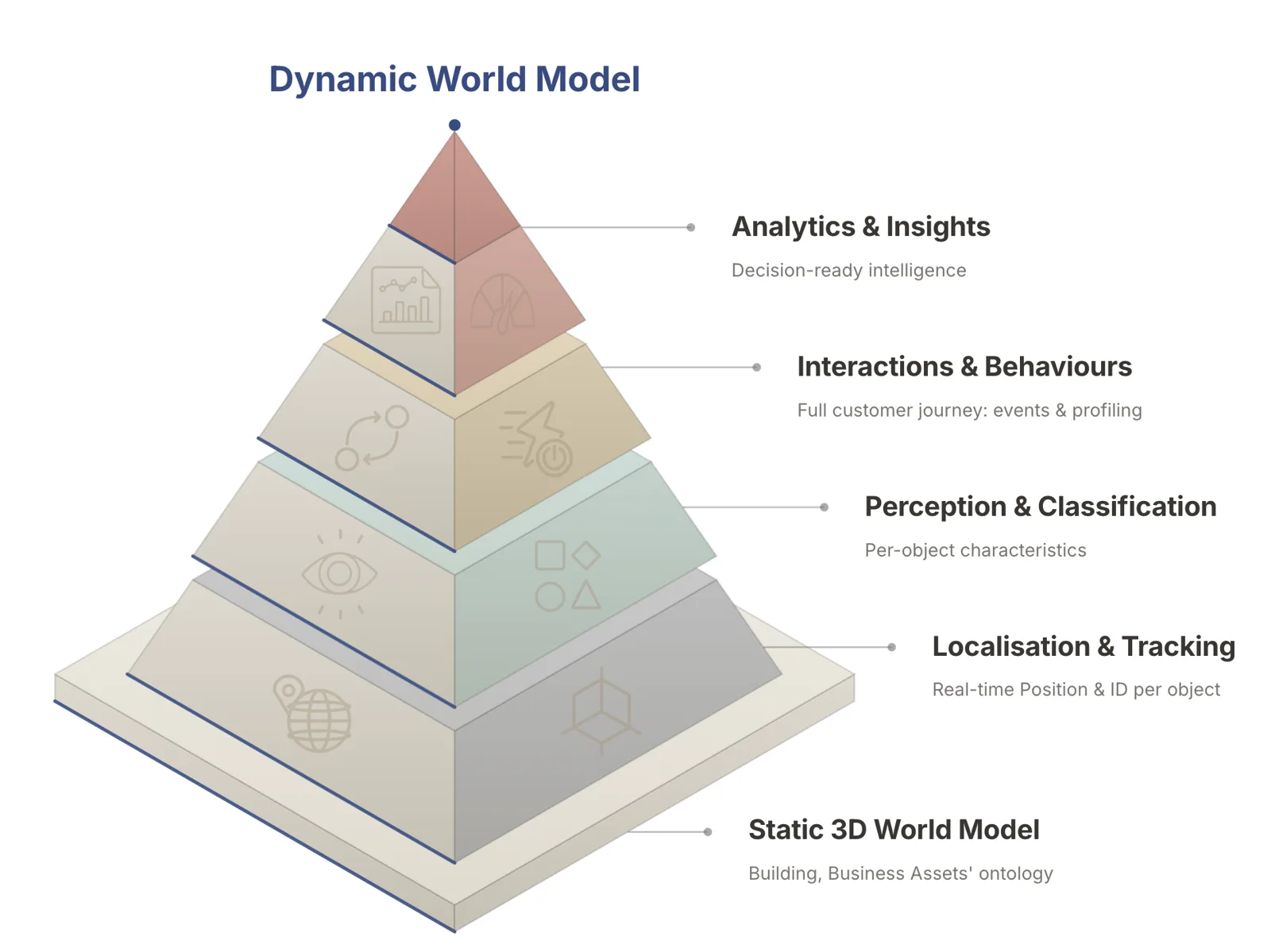 Dynamic World Model