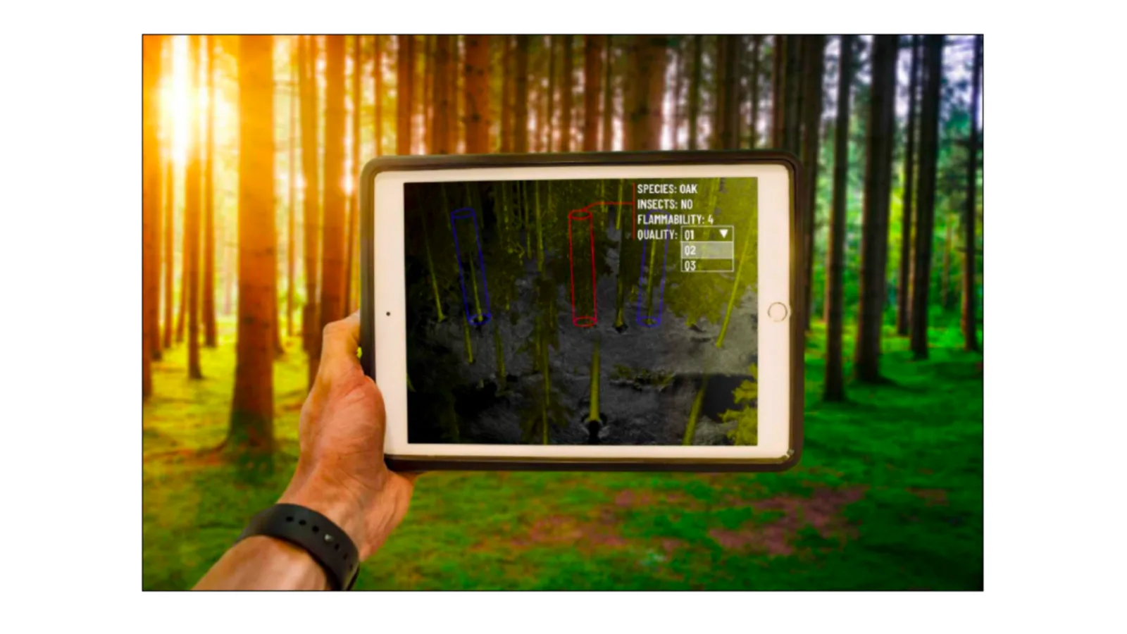 Forest lidar