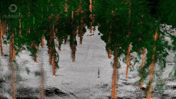 Forestry management