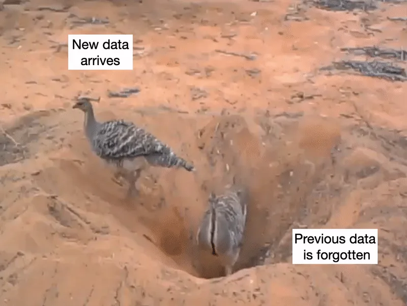 New data complexity